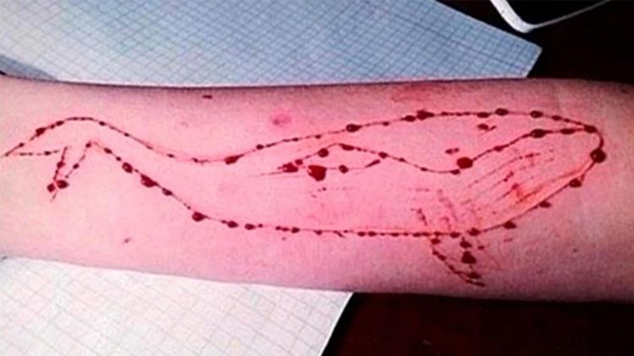 You are currently viewing Terrifying Cyber Crime Through ‘Blue Whale Challenge’